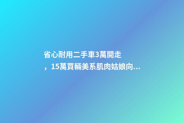 省心耐用二手車3萬開走，15萬買輛美系肌肉姑娘向你招手